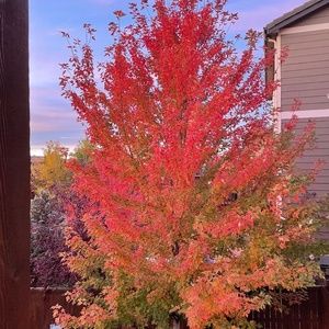 Meet your Posher, Joann